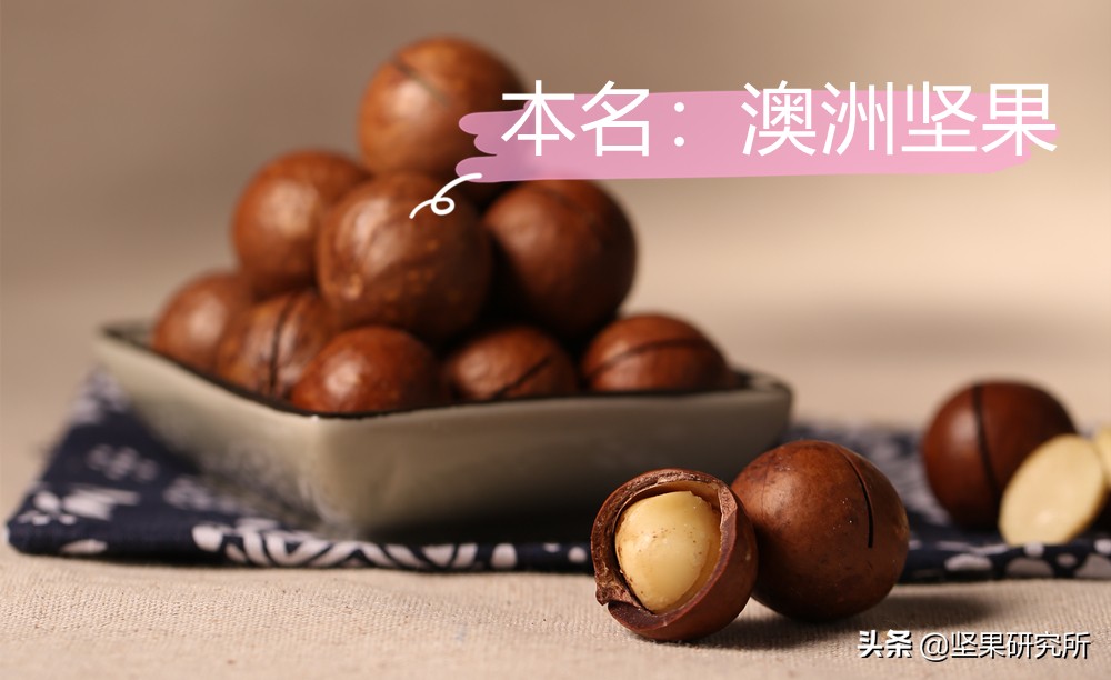 巴西松子的果是什么样的,巴西松子与东北松子营养有区别吗