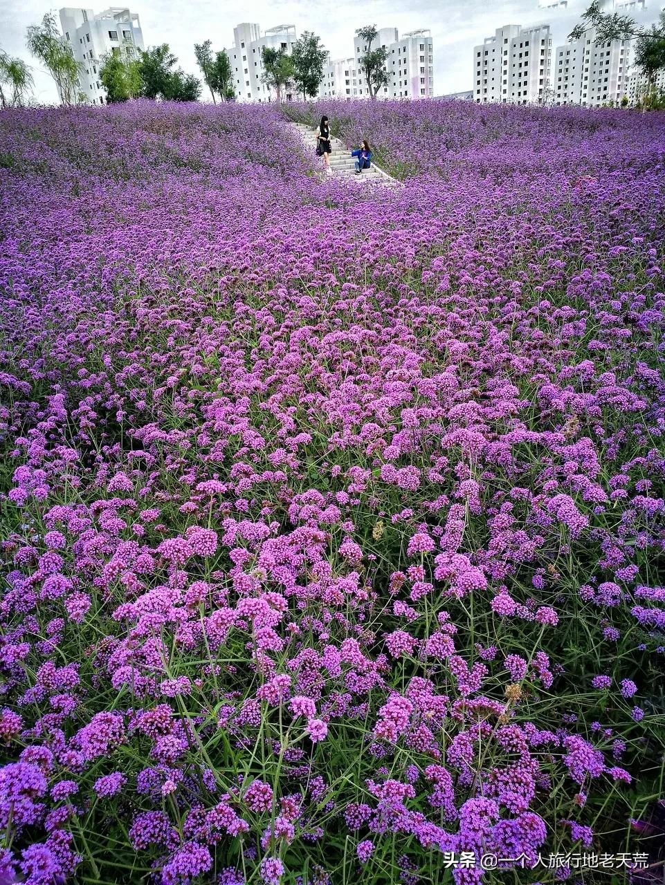 亚洲旅游胜地甘肃,甘肃被评为亚洲最佳旅游地之首