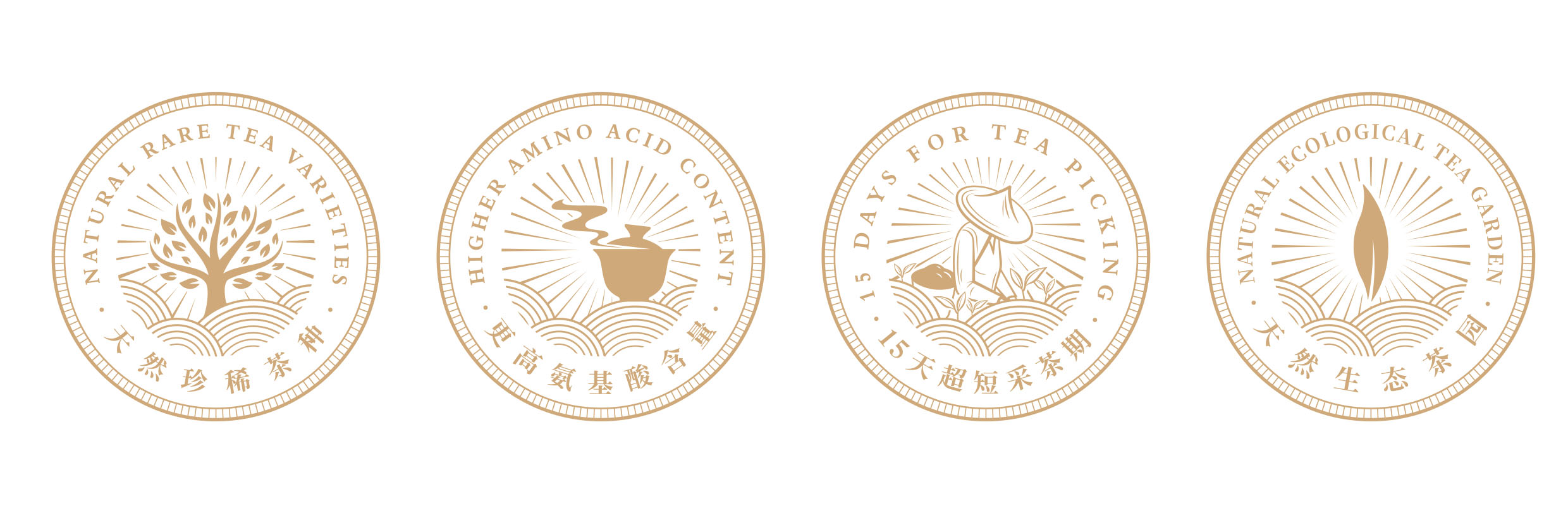 茗皇有机茶,龙游茗皇黄茶