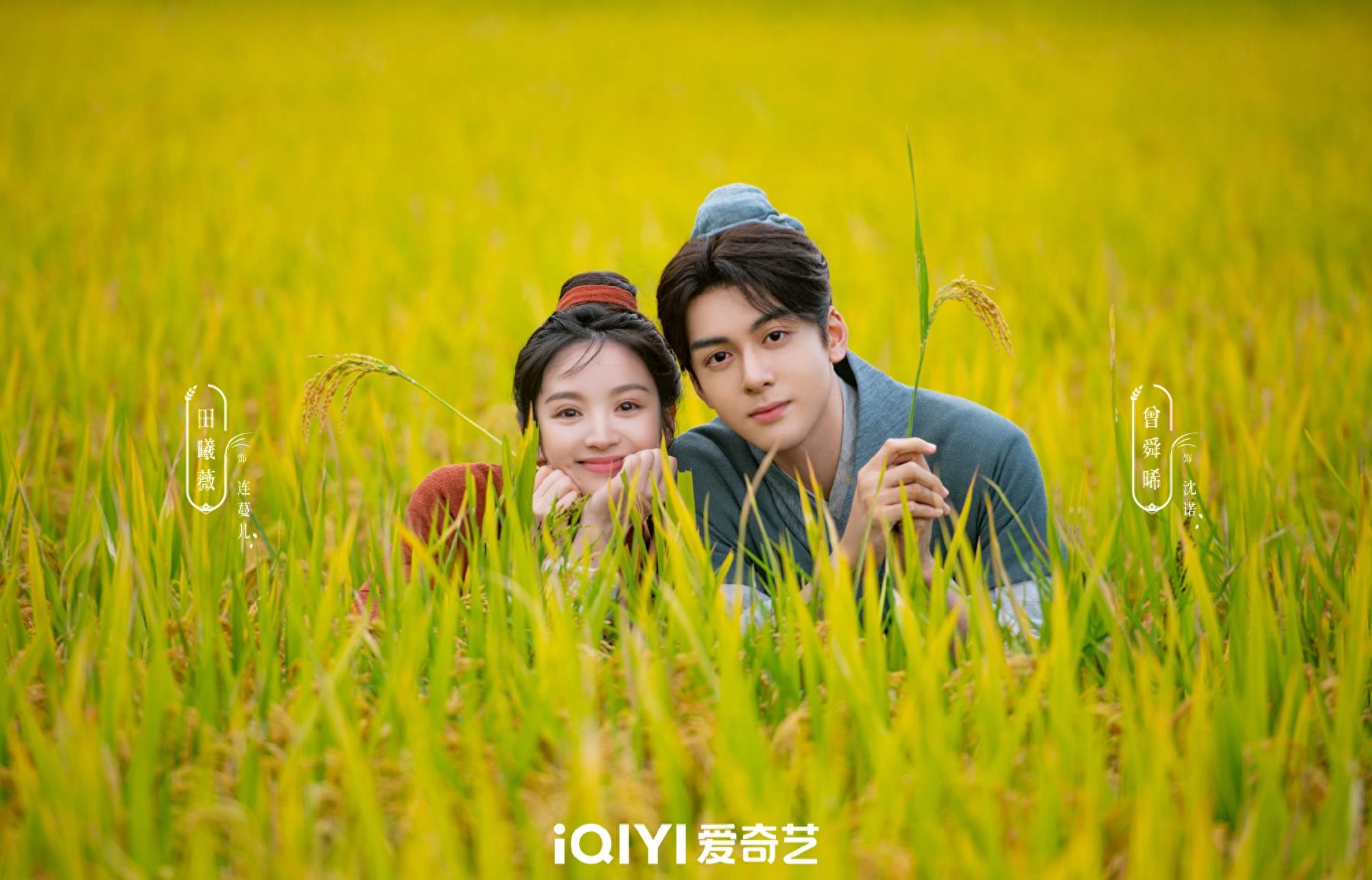 2024张凌赫有几部待播剧,张凌赫为什么又高又帅