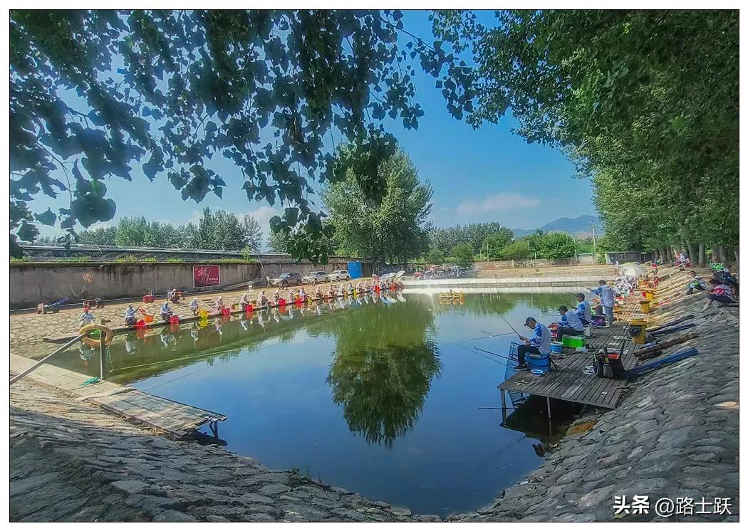 北京钓鱼协会怎么加入,北京市平谷区钓鱼协会