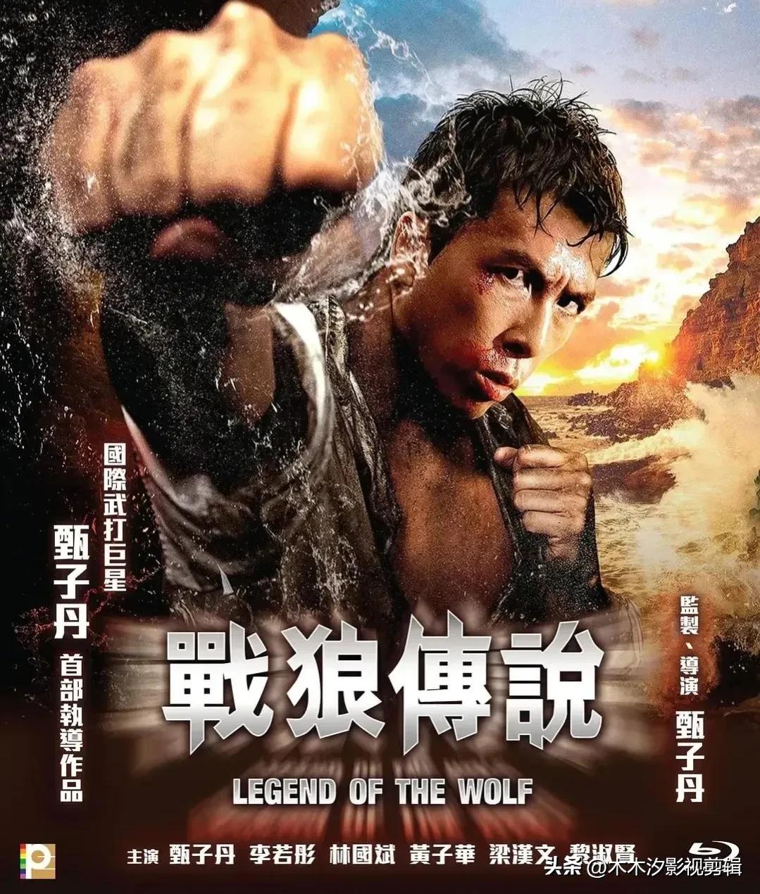 甄子丹经典动作电影全部免费观看,甄子丹经典功夫电影全集