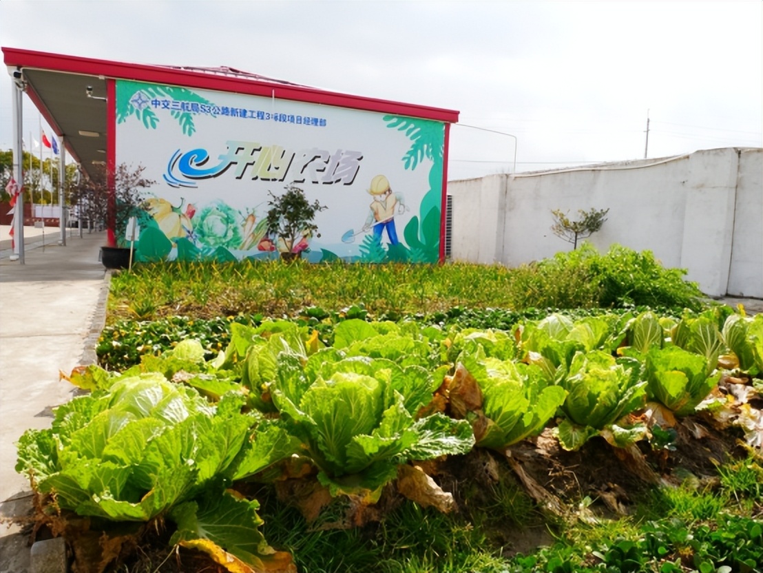 装配式大时代：更快、更优、更环保——探访中交三航局S3公路新建工程3标项目部