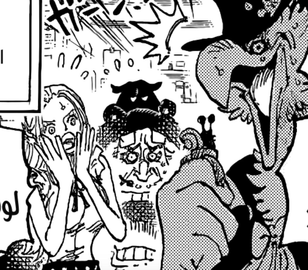 海贼王1030话情报路飞与凯多,海贼王1090话情报全文