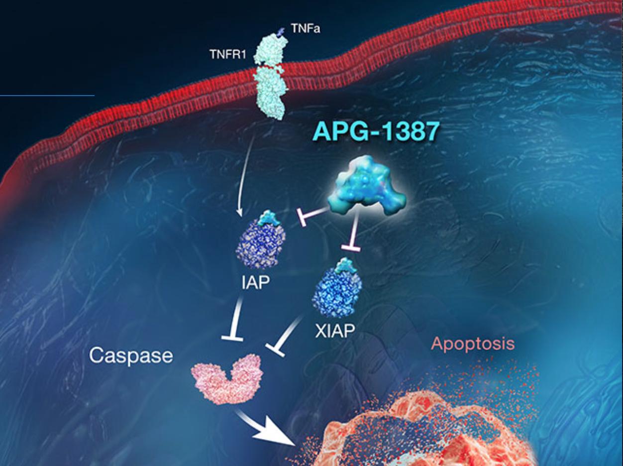 乙肝在研新药apg1387进展如何,乙肝在研新药ahb137