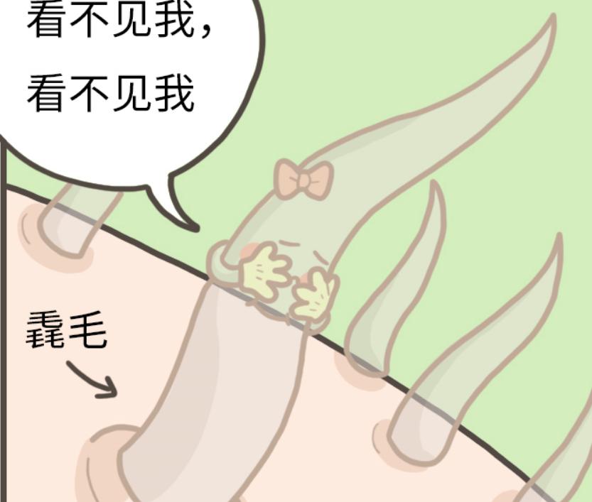 头发干枯与肺有联系吗,头发稀少和肺有关系吗