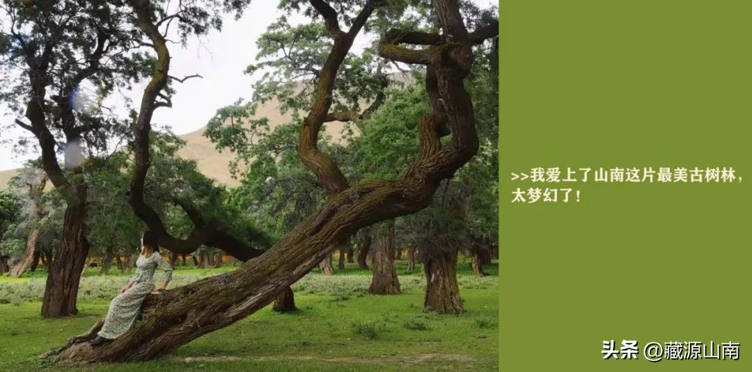 山南的变化,关于山南的问题