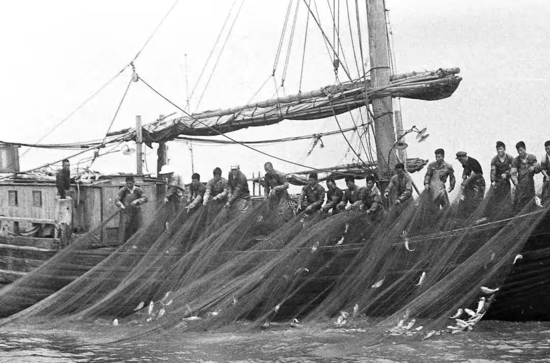 宁海渔民在象山捕到野生大黄鱼,台州渔民捕获近5斤重野生大黄鱼