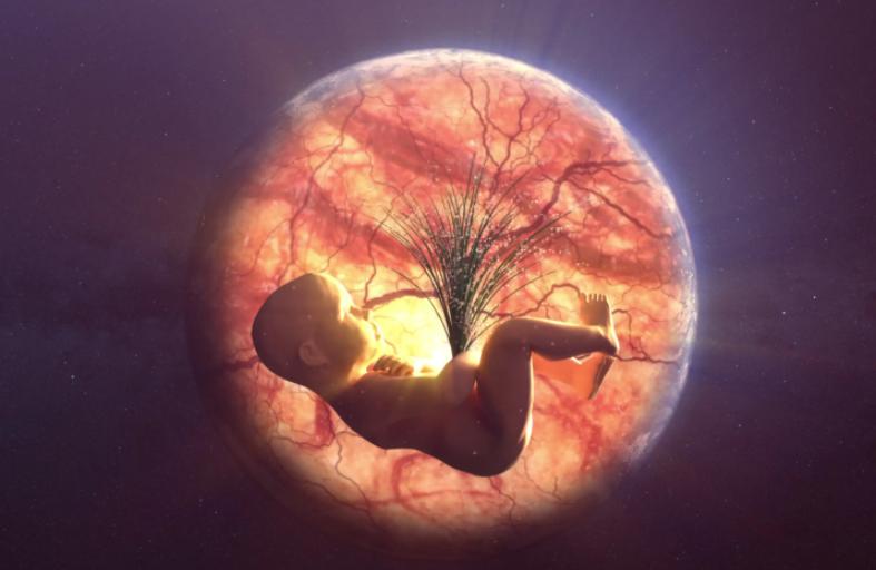 “已故”DNA疯狂求生，借用孪生姐妹的身体，还替她生下3个孩子