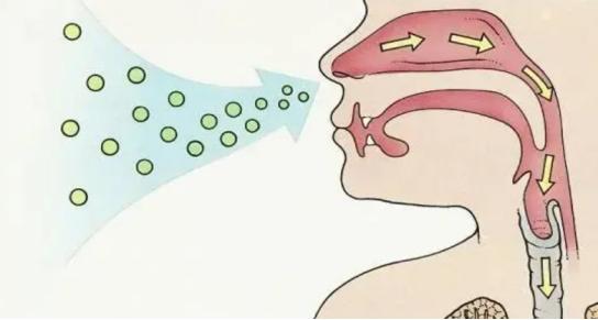 蟑螂消灭方法及蟑螂药哪种好,根除蟑螂有什么特效药和妙招