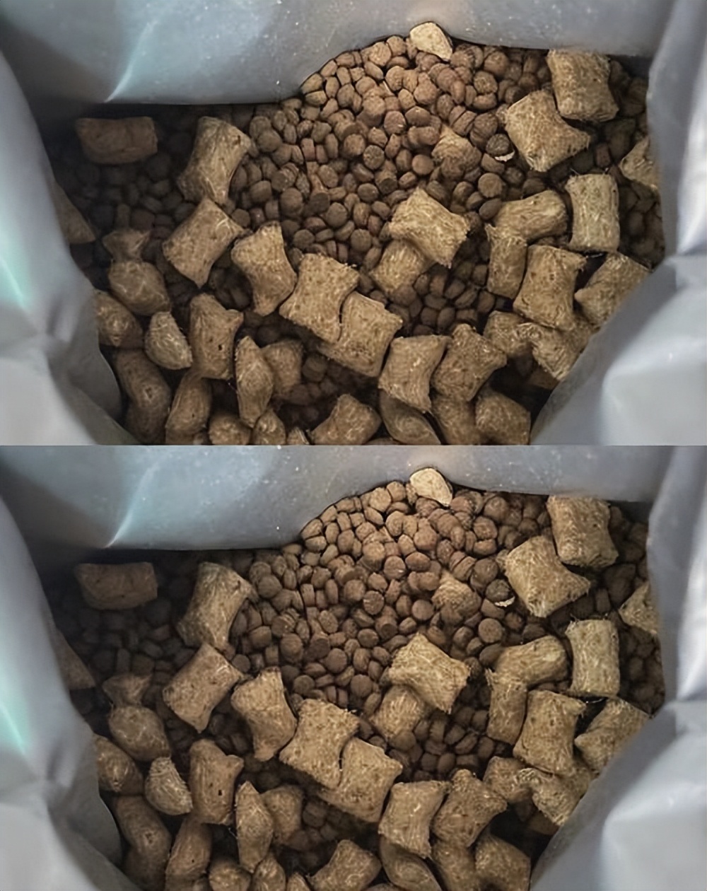 猫咪突然攻击人怎么处理,怎么训练猫咪不咬人不抓人