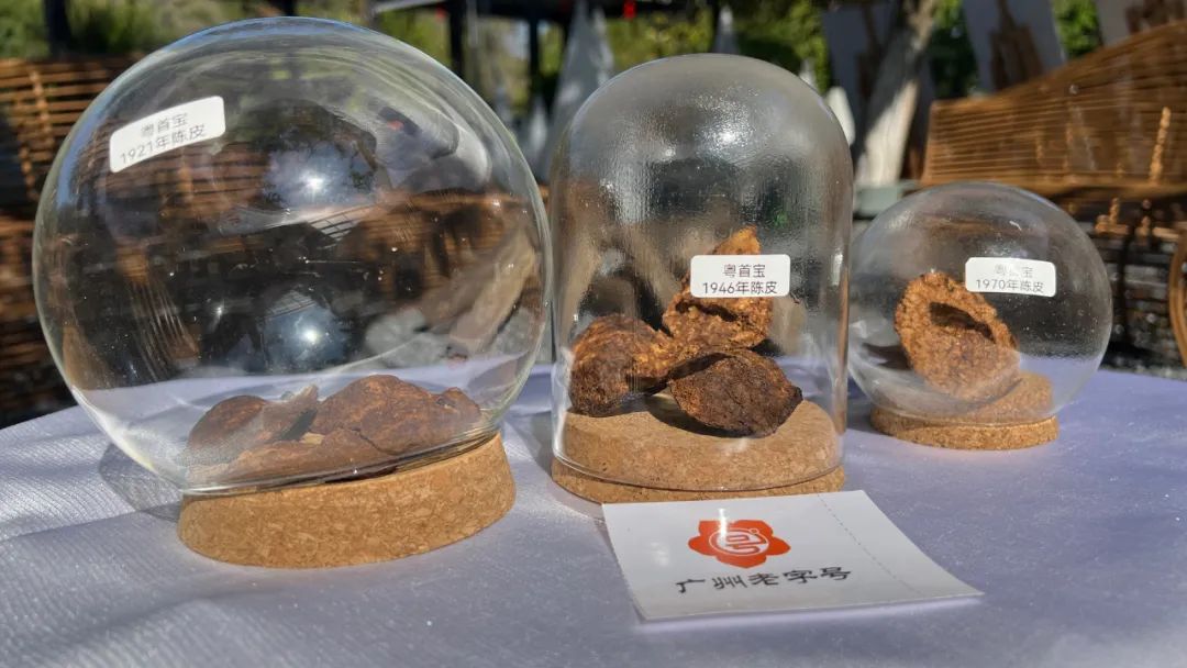 新春攻略生肖派对,新年怎么玩好玩