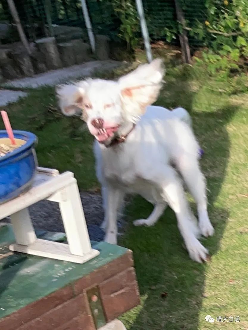 背德文学啥意思,背德文学是什么