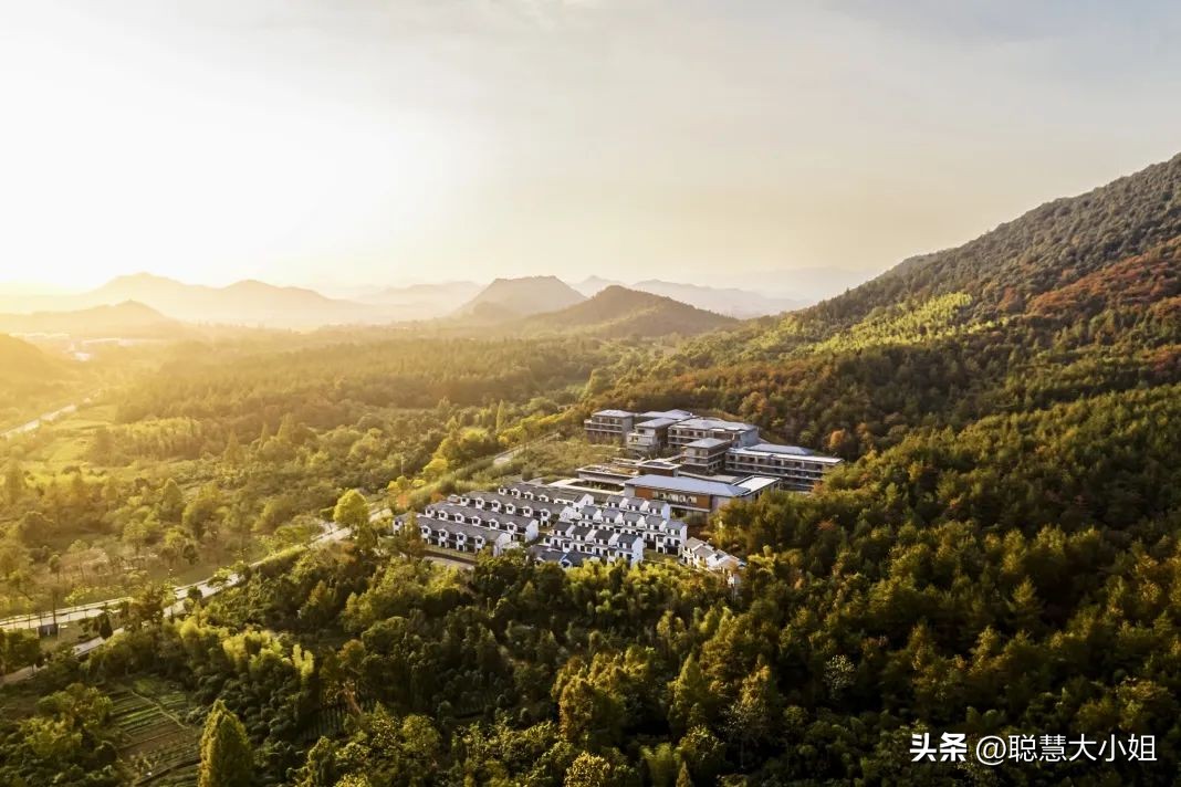 去安吉住哪个酒店离各景区比较近,去安吉哪种酒店最好玩