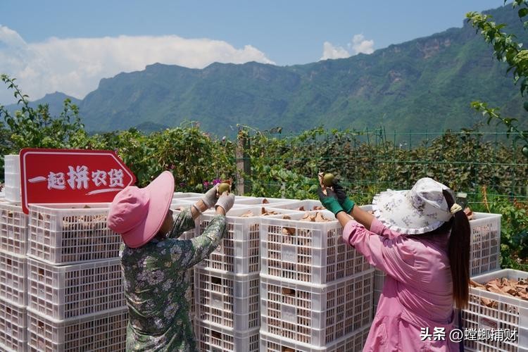 全国地标农产品电商平台,地标农产品如何商业化