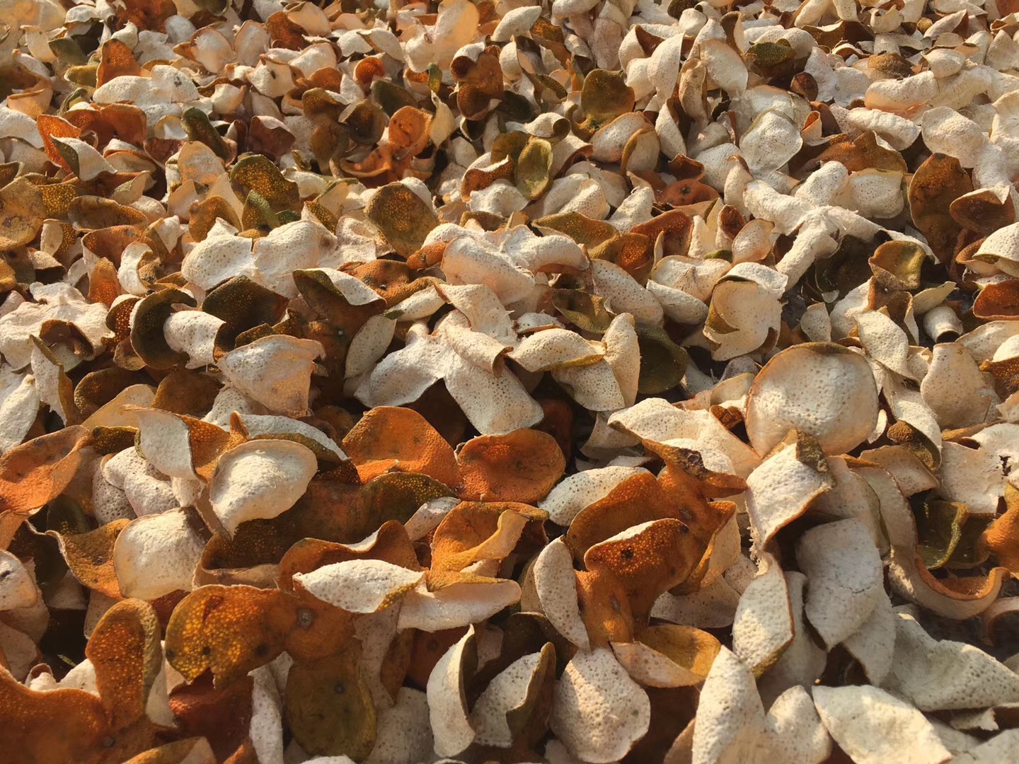 新会陈皮被虫蛀了怎么处理,陈皮虫蛀并不可怕掌握方法能补救