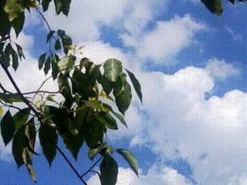 拆解为15个操作步骤，在头条小组关联话题发文，你还觉得复杂吗？