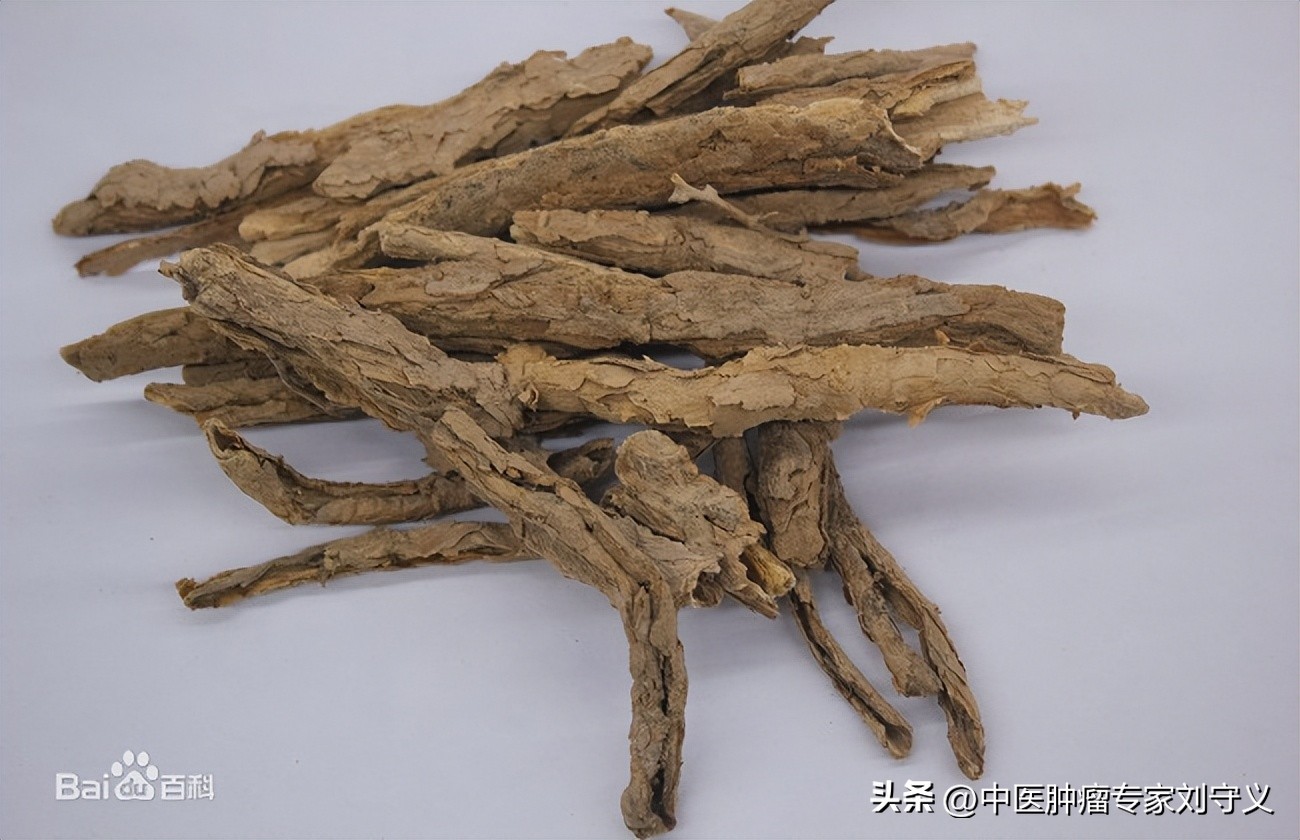 地骨皮抗癌功效和作用,中药地骨皮泡水喝的功效