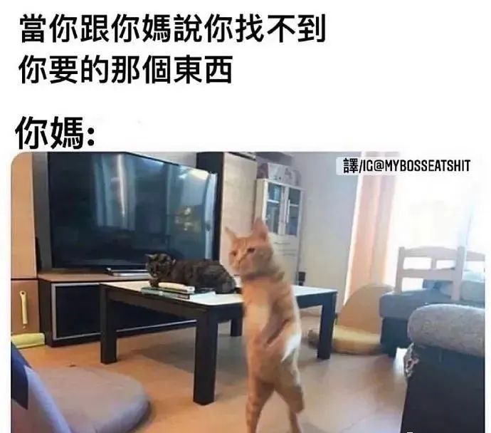 曝光被骗的聊天记录搞笑,曝光聊天记录事件