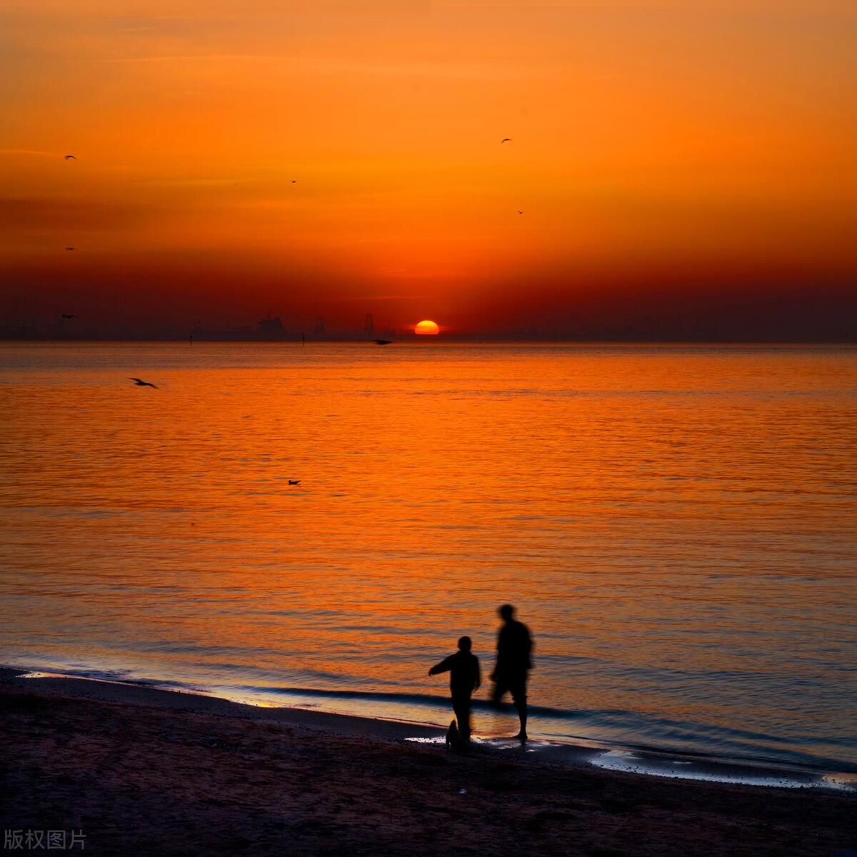 2022年春节秦皇岛免费景点一览表,秦皇岛65岁以上老人免票景点大全