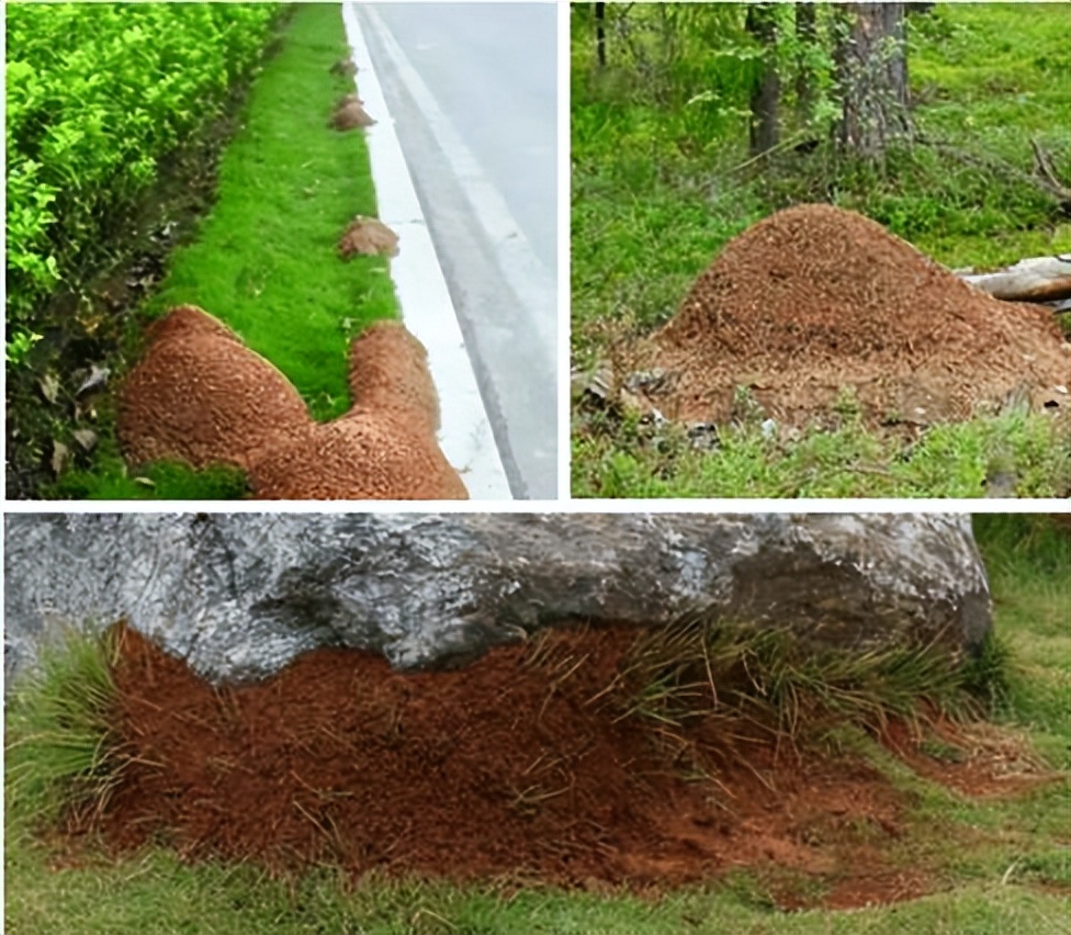 世界地球日｜我们正在和“异族生物*队军**”打一场硬仗