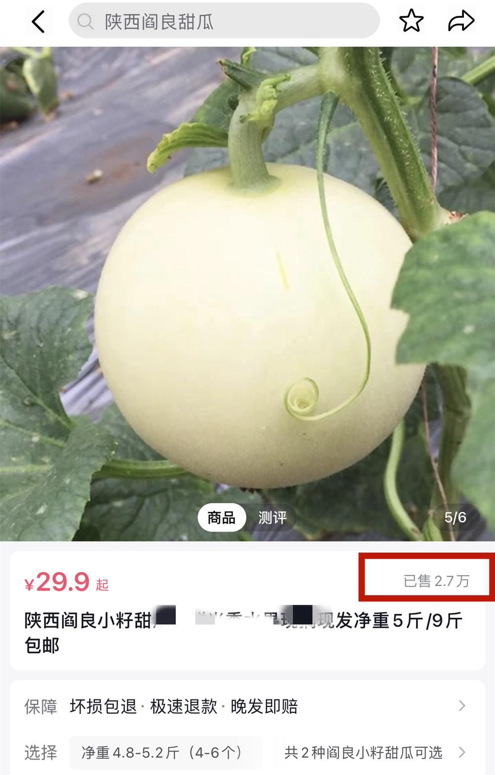 甜瓜哪个品种比较好卖,最新甜瓜产地价格