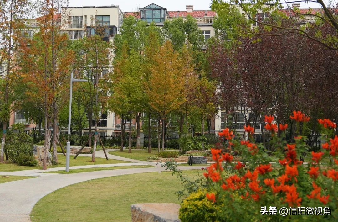 信阳羊山新区东湖风景区,信阳云赏直播间