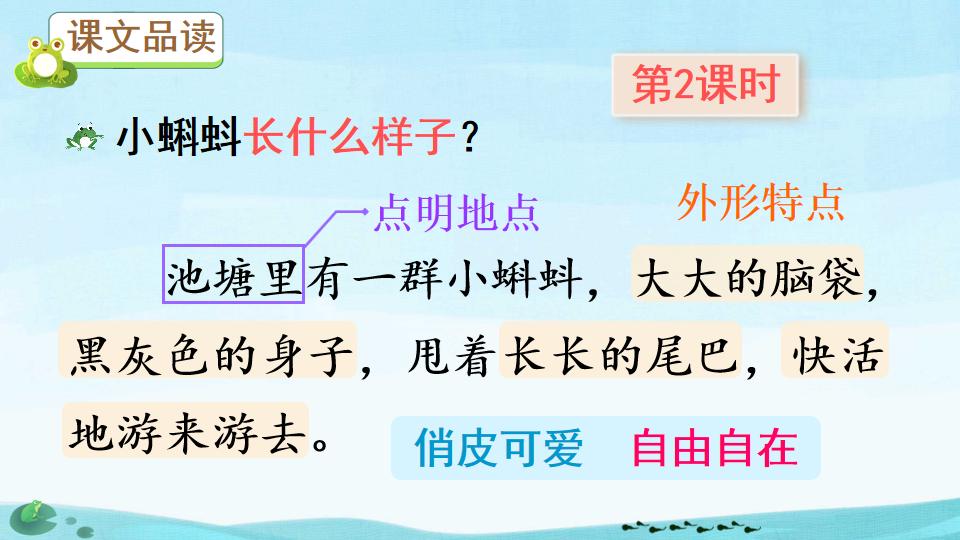 小蝌蚪找妈妈绘本ppt制作教程,二年级课文小蝌蚪找妈妈ppt背景