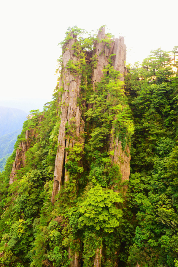 羊狮慕与张家界哪个好,江西明月山和羊狮慕哪个更值得去
