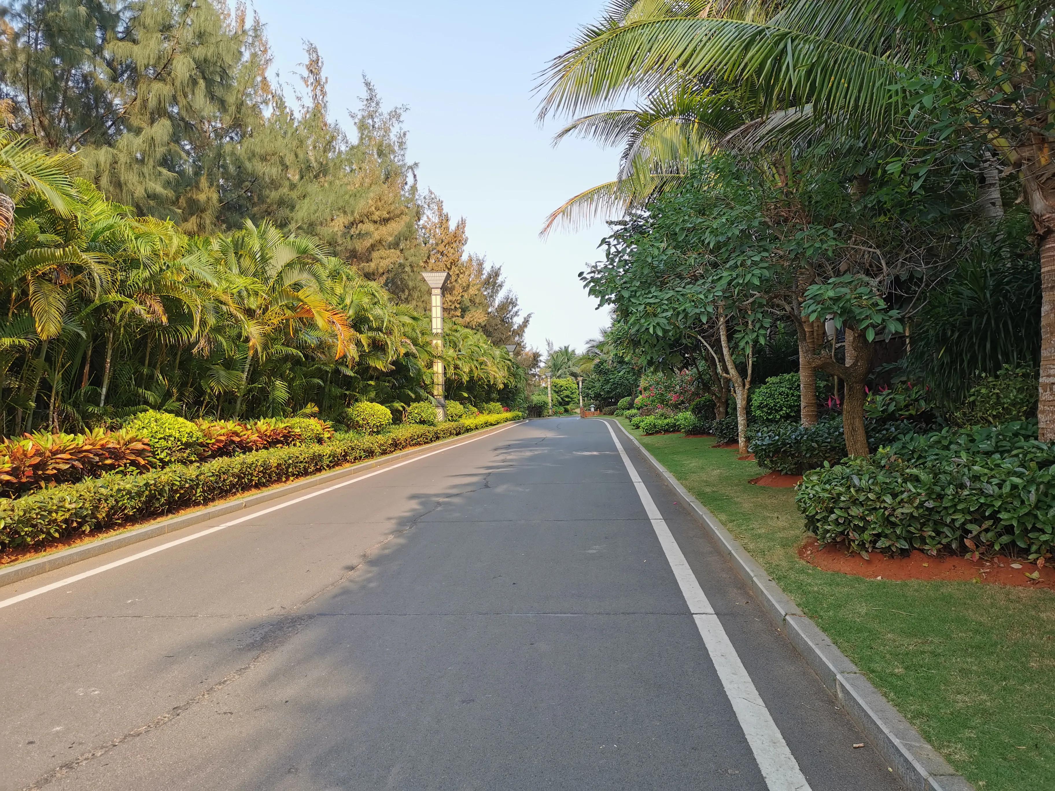 文昌椰林在哪里,文昌椰林靠海吗