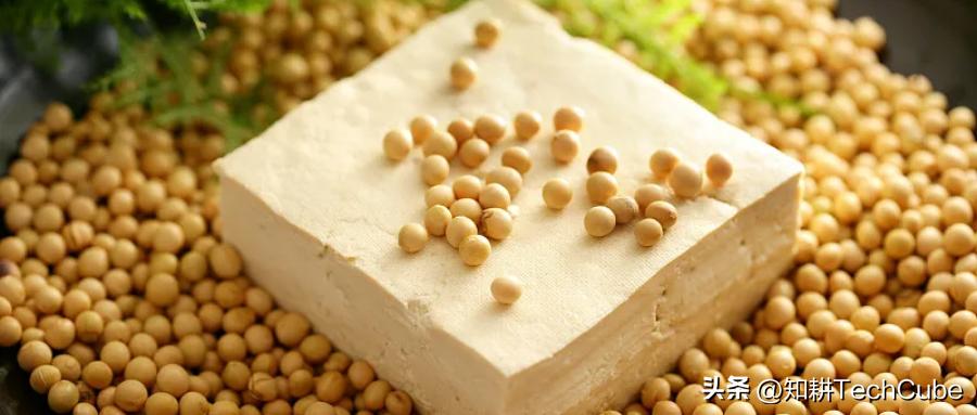 知耕研选｜我国大豆食品产业发展现状及存在问题