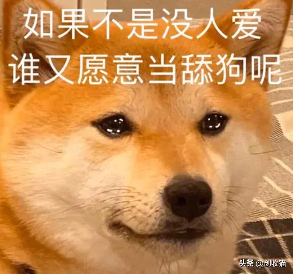 搞互联网吧，线下生意真不是人干的