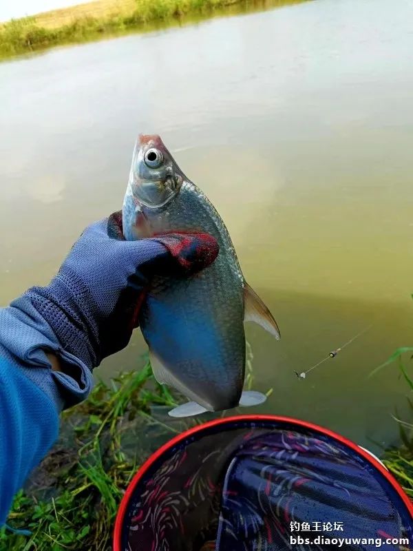 双铅钓流水要用吃铅大的漂吗,双铅跑铅真的抗流水吗