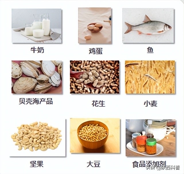 世界哮喘日义诊,世界哮喘日义诊总结