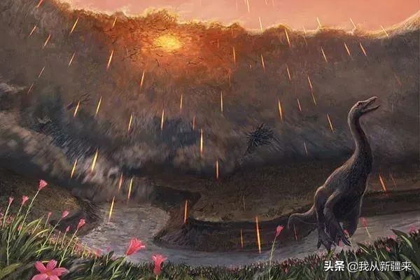 新疆哈密翼龙,天山哈密翼龙