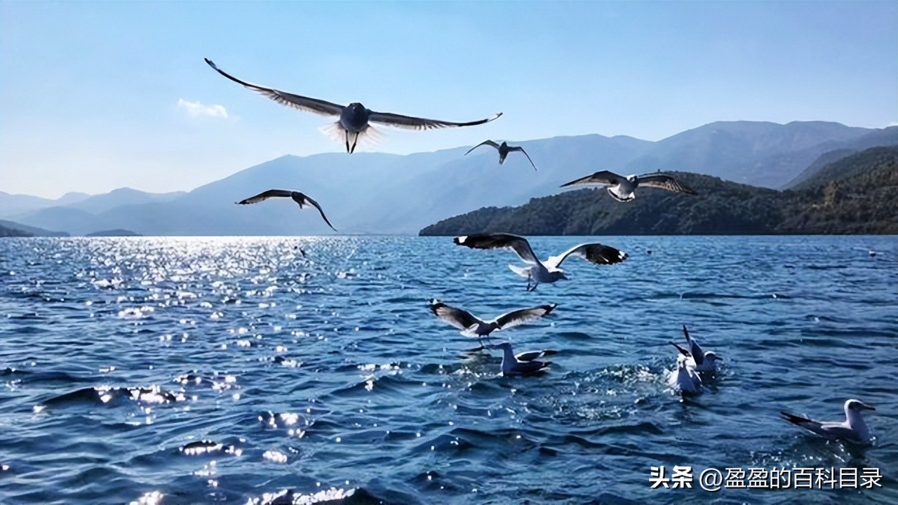 第一次来丽江必打卡的九大景点,丽江最值得打卡的9个景点推荐