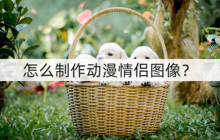 情侣动漫图片制作头像,怎么制作专属动漫图片