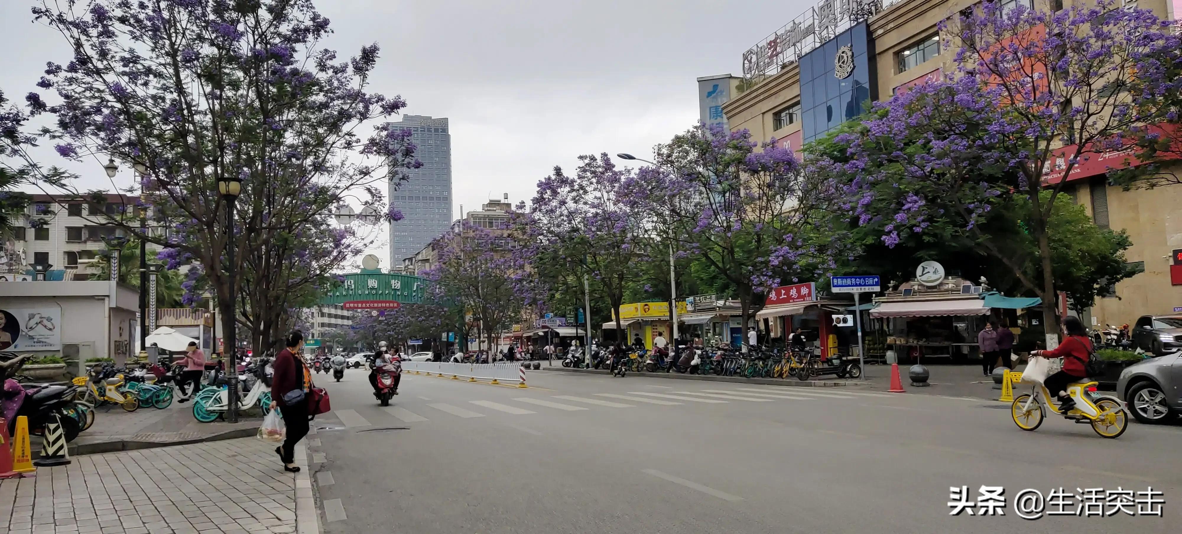 云南地区气候差异大原因,云南的温度条件较好的原因