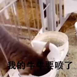 鐧惧害鍛樺伐鍙戝笘,鐧惧害鍛樺伐鍐呯綉