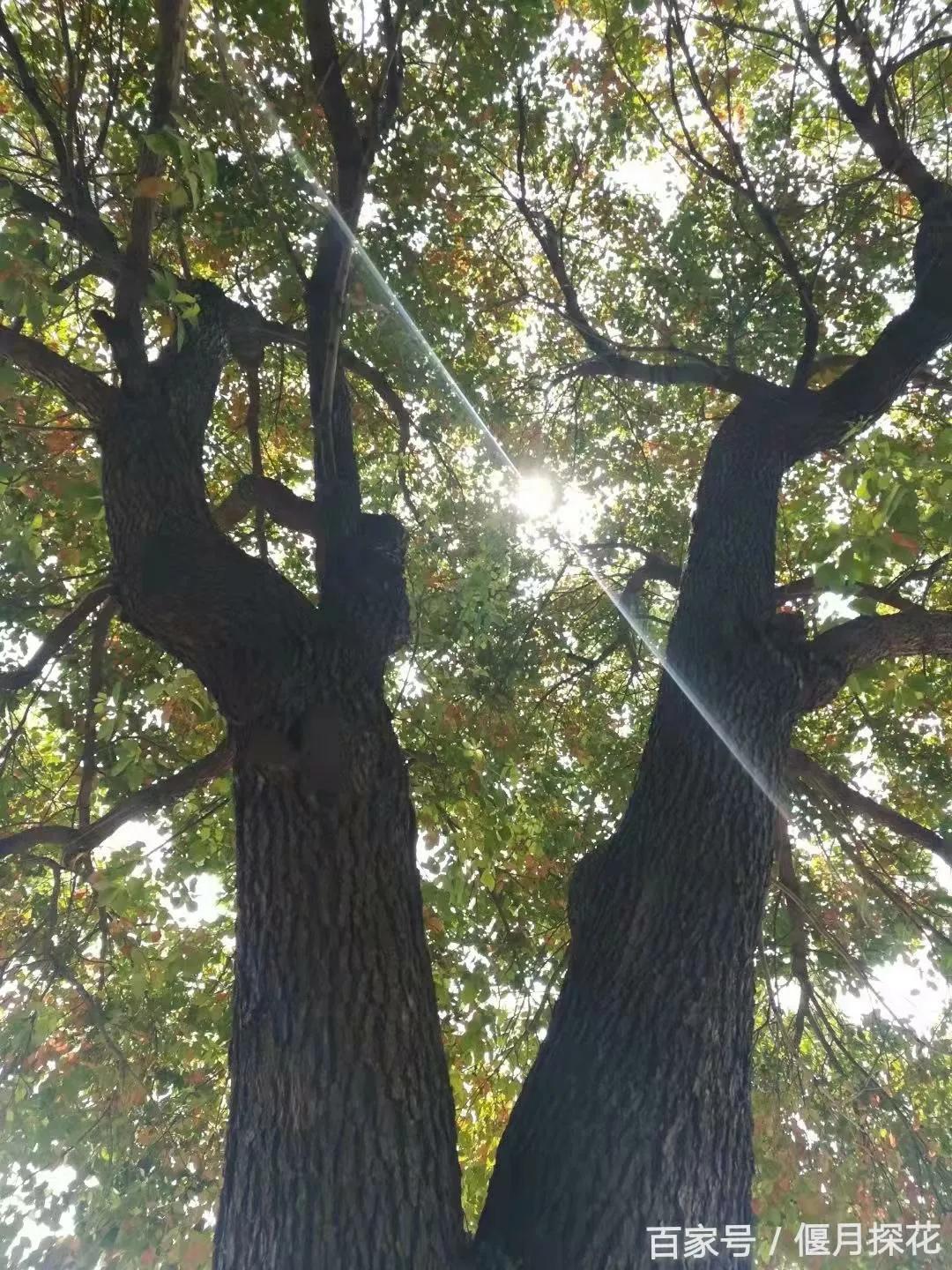 借给别人钱是在增加自己的福报吗,借给别人钱是自己最大的错