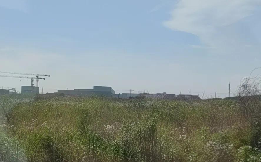 临港概念股上港集团,上海临港地区股票