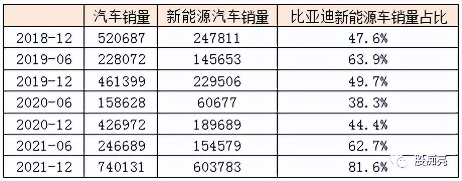 新能源汽车投资指南,比亚迪新能源汽车投资效率怎么写