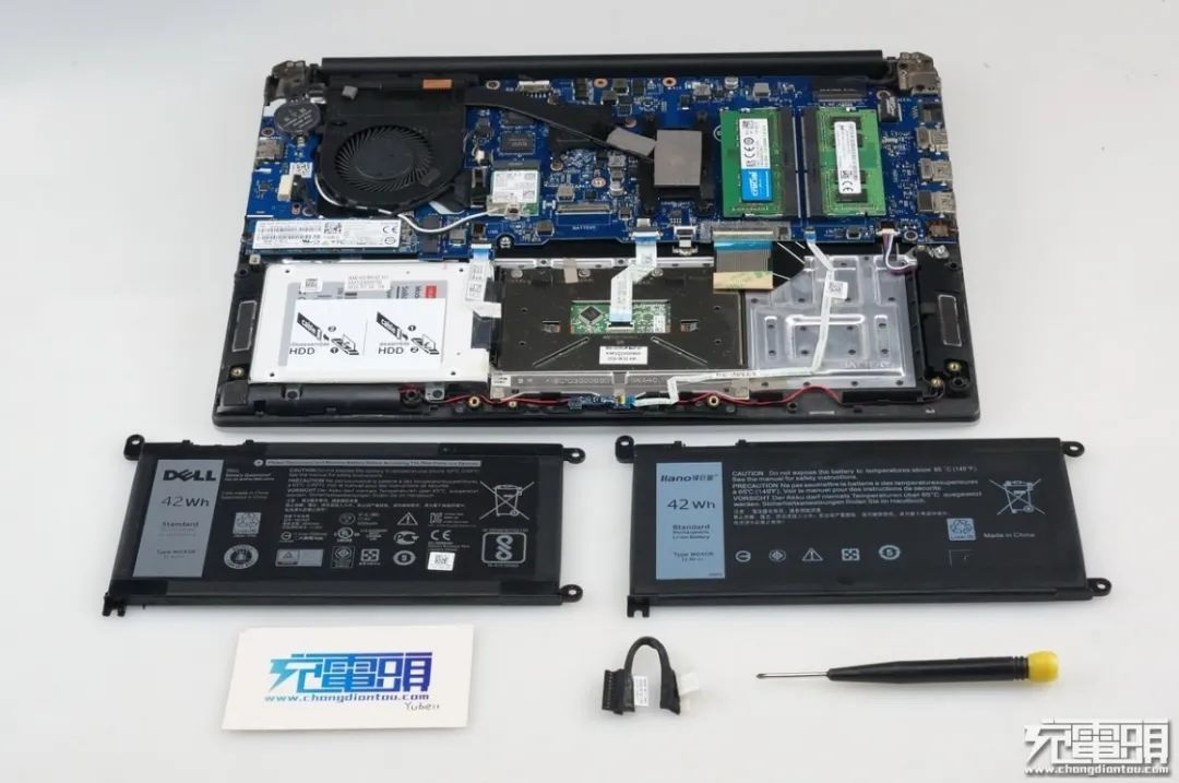 绿巨能发布会,绿巨能番禺