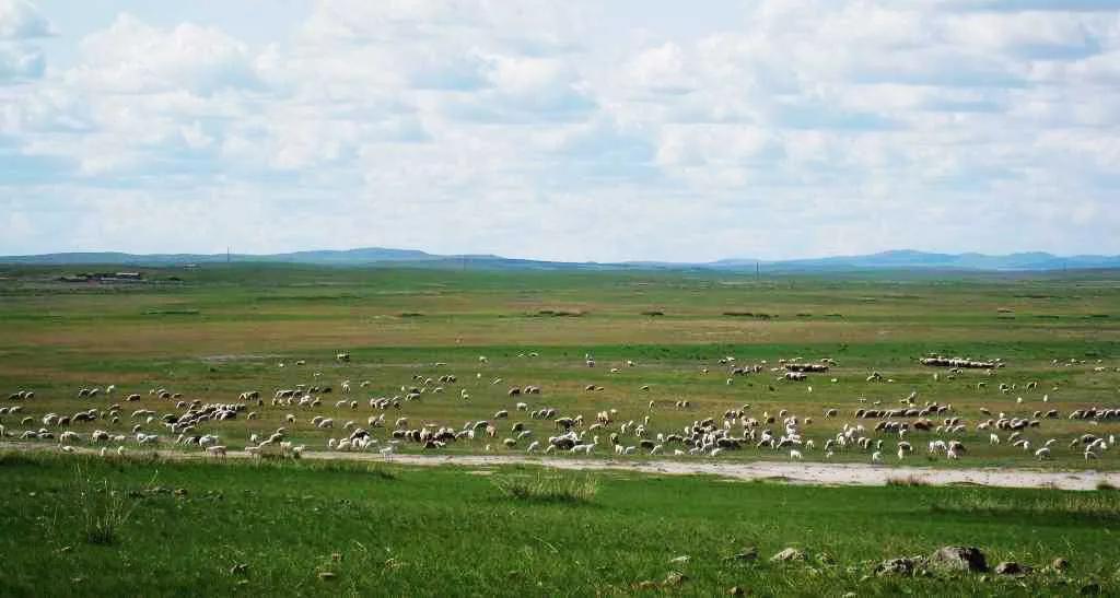 跟着老韩看世界,跟着爸妈游中国之游遍中国