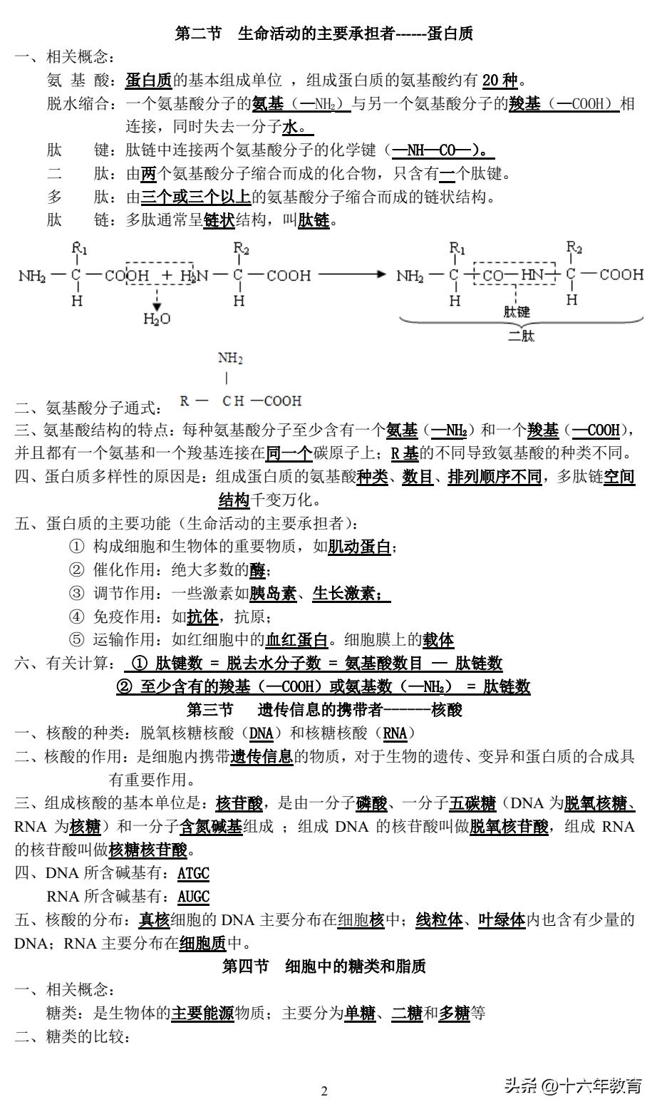 高一期末生物复习必备知识点,高考生物常考点总结