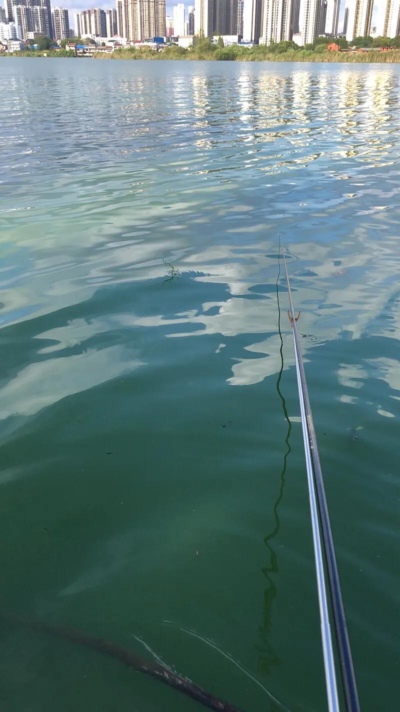 钓鱼方法与技巧野钓入门,路亚钓鱼技巧新手入门