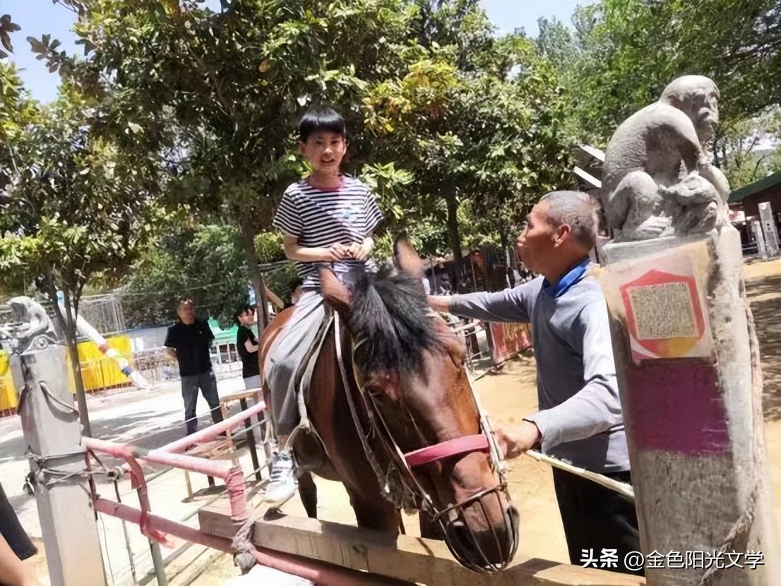 南阳周边游老君山,南阳恐龙遗迹园旅游攻略