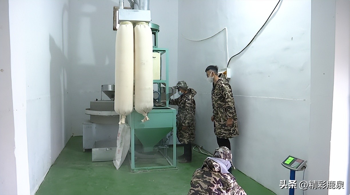 鹿泉：新型职业“新农民”，走出致富“新路子”