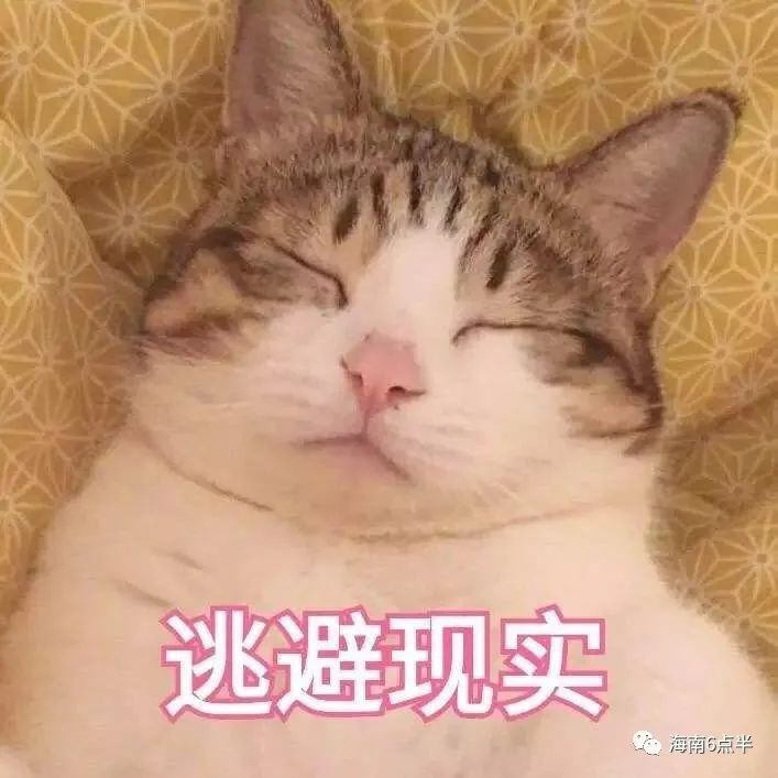 海南工资那么低为什么还有人落户,海南工资低没人管吗