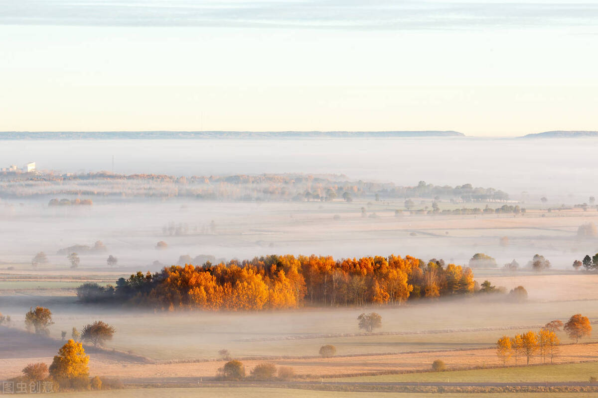 补精固肾的方子强肾,中医治疗肾功能不全的思路